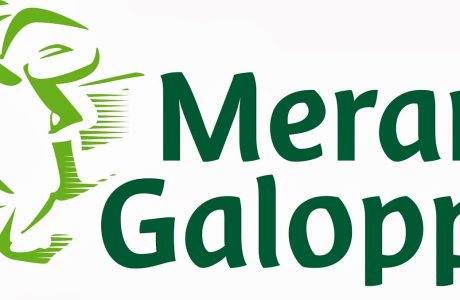 Gran premio di Merano galoppo