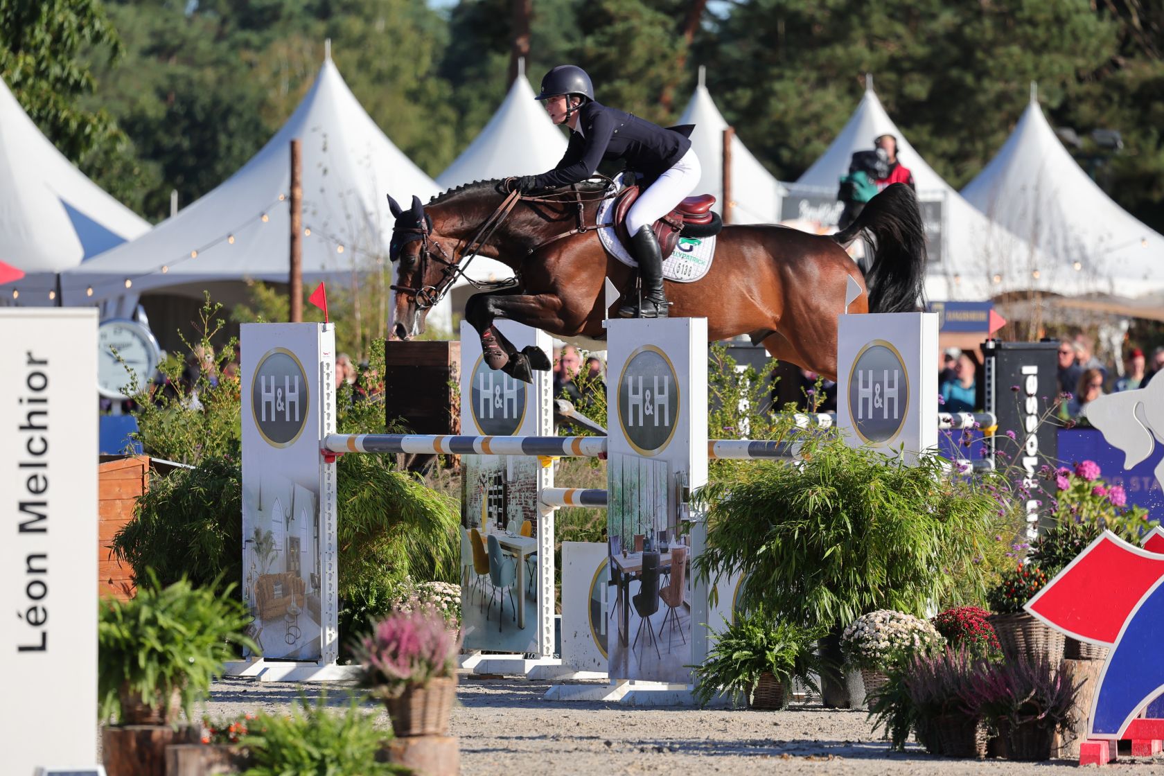 Niamh McEvoy and the Irish bred stallion Boleybawn Alvaro