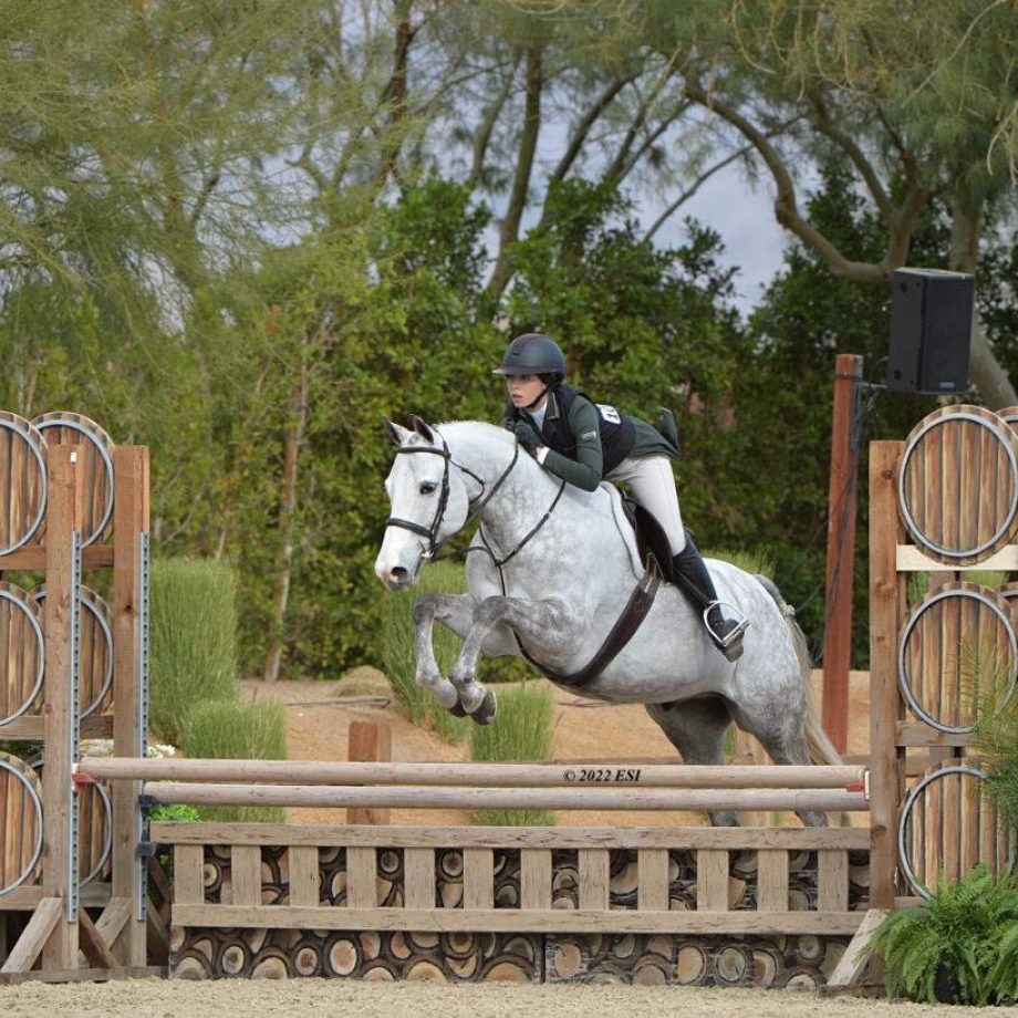 Opportunity Mars piloted by Avery Glynn Desert International Horse Park