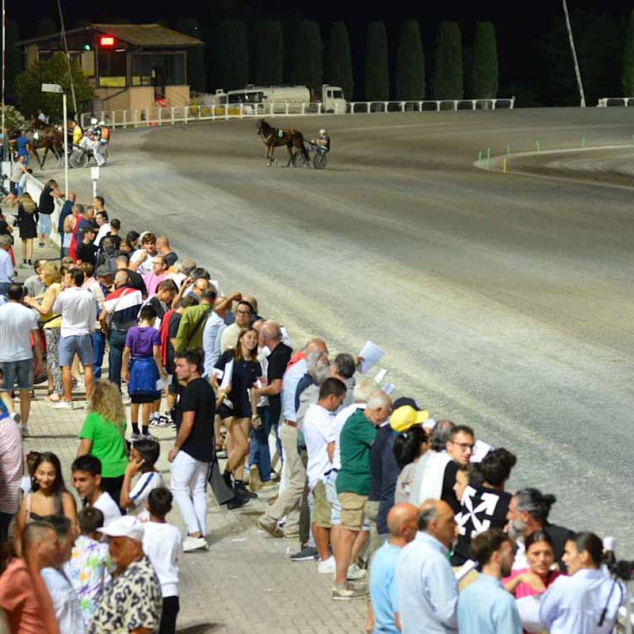 Ripartono le emozioni del trotto all'ippodromo San Paolo di Montegiorgio 2 PUBBLICO IPPO 2023 ippodromo San Paolo di Montegiorgio