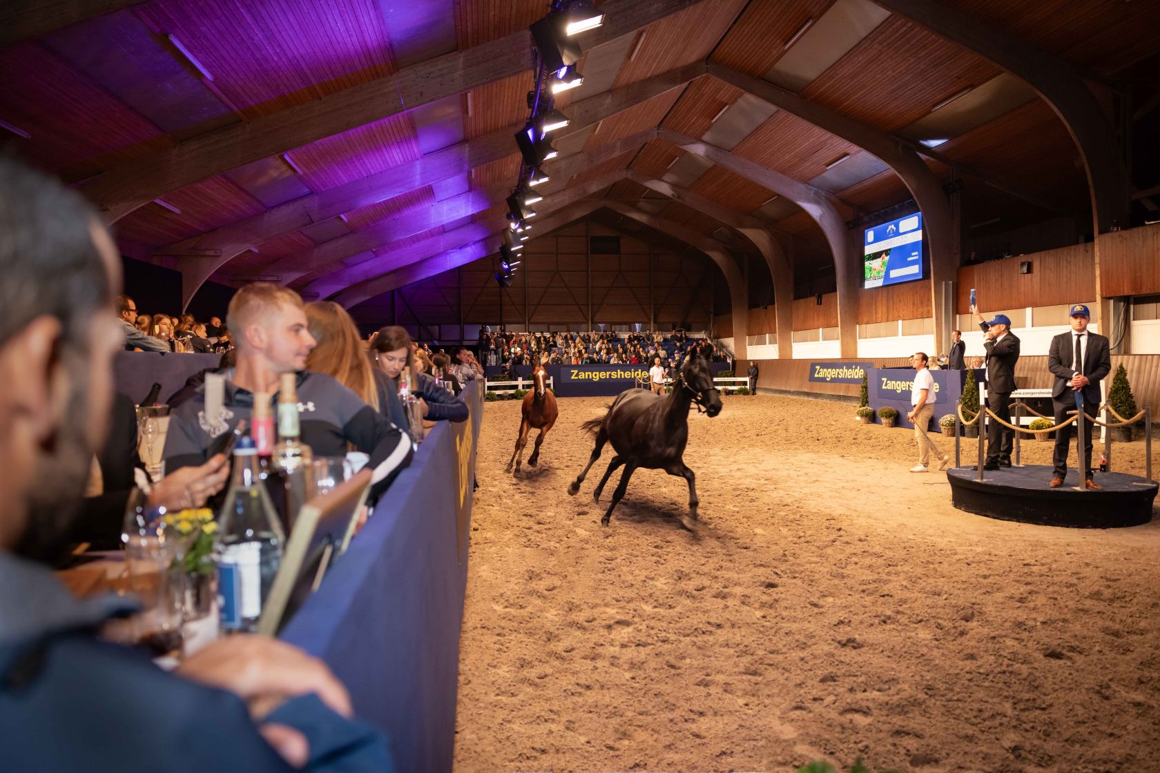 Collosseo MVD Z, Bestseller per 120.000 Euro alla Quality Auction di Zangersheide 1 Quality auction Zangersheide