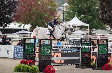 Uma O'Neill (NZL) and Clockwise of Greenhill Z Photo ©tbird Kady Dane Photography