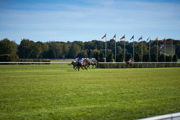 Il futuro del Galoppo: le prime novità sul calendario 2025 da UPG 5 cavalli durante una corsa di galoppo per Ippodromo di San Siro