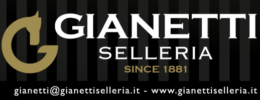 Ginaetti logo