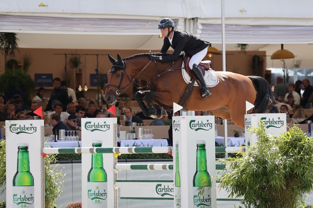 Campionati del mondo giovani cavalli di Lanaken: i risultati del secondo giorno 1 img 6924