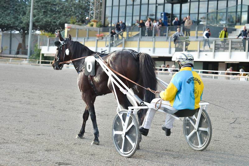 ippodromo San Paolo di Montegiorgio_trotto (2)