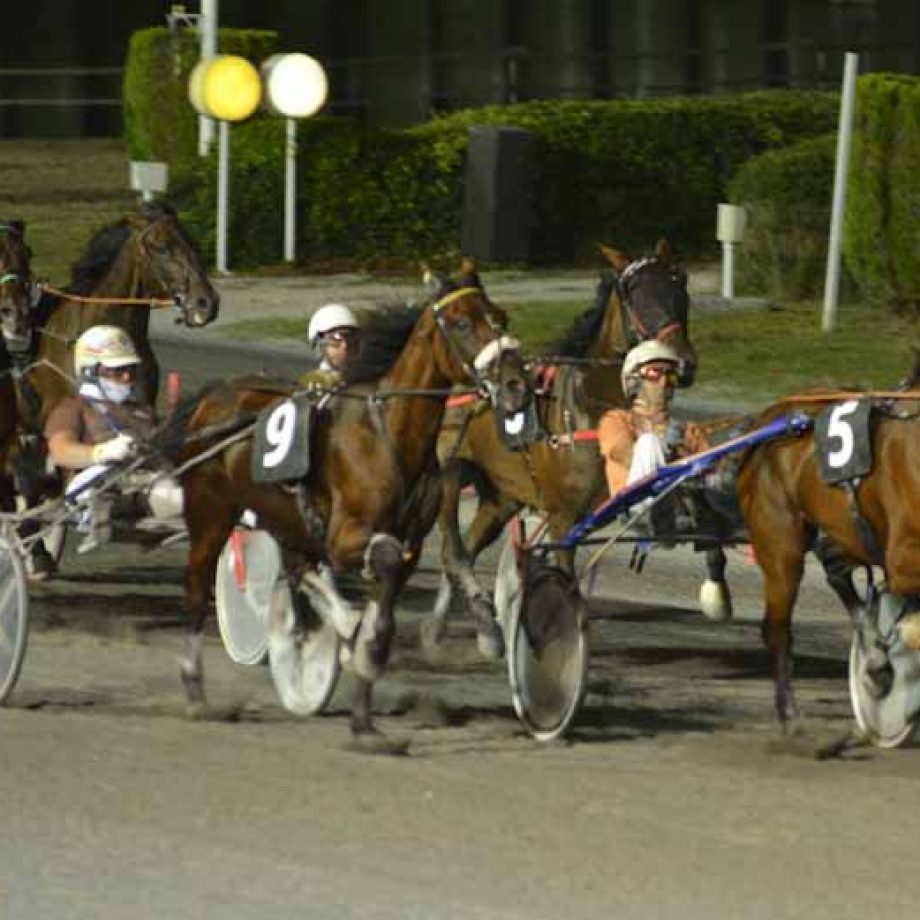 ippodromo San Paolo di Montegiorgio trotto