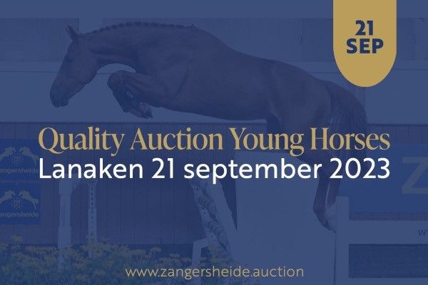 Campionati del Mondo di Lanaken per giovani cavalli 2 quality auction young horses