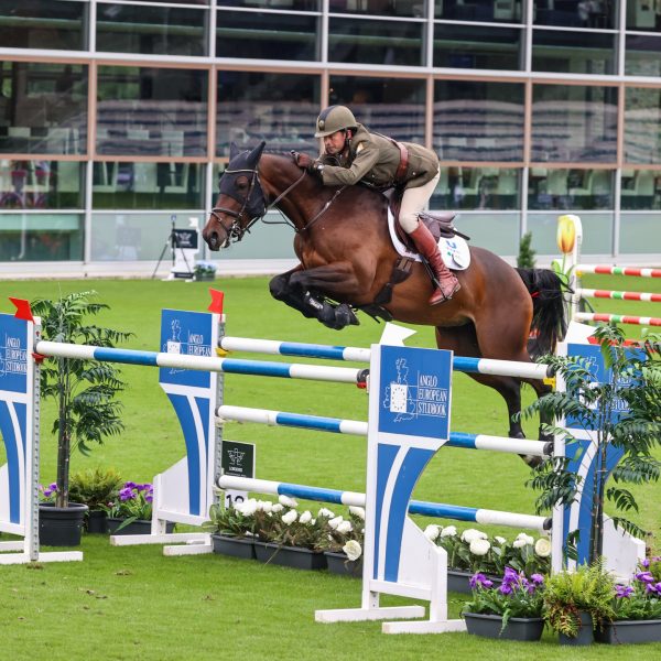 wbfsh 11 145 8yo curran commandant geoff from irl riding dhf alliance csiyh2 8y 20230929 01sg4983 1