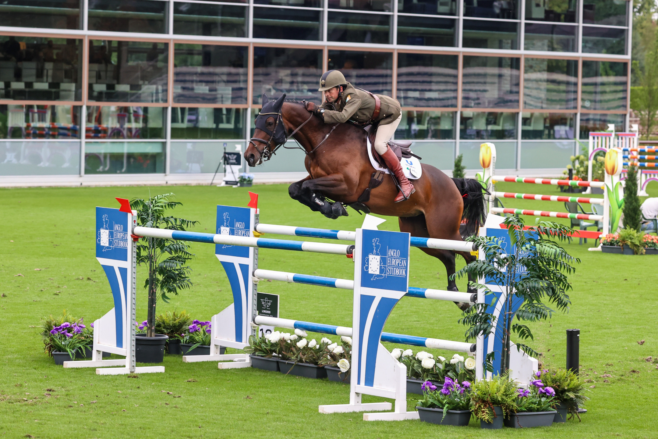 wbfsh 11 145 8yo curran commandant geoff from irl riding dhf alliance csiyh2 8y 20230929 01sg4983 1