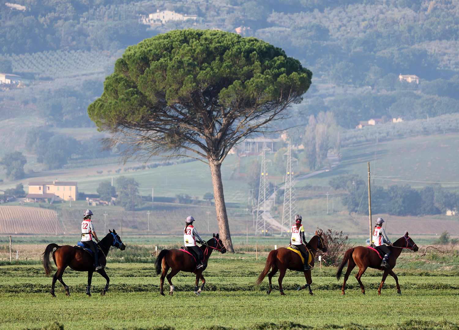 Tutto quello che c'è da sapere sulla Coppa delle Regioni di endurance 2023 2 0P5A2572