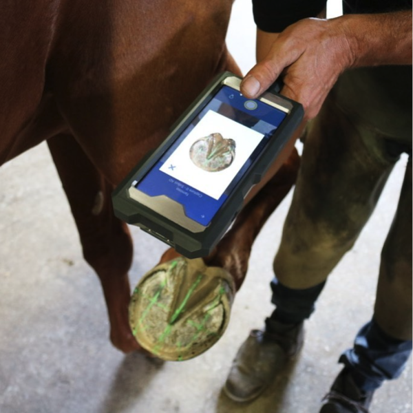 Revolutionizing Equine Care: The Innovative Technology Behind Delysis 3 33850F7F 415D 4FA5 820F B4AF502FF447