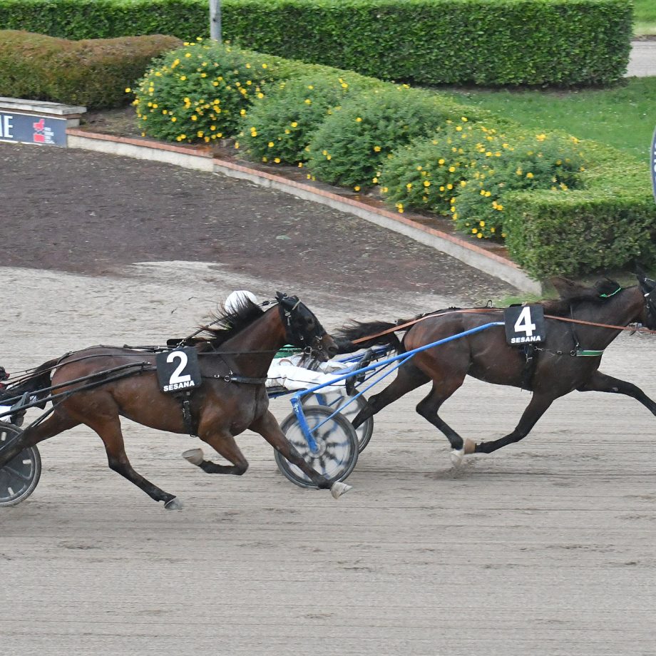 Giovedì all’Ippodromo SNAI Sesana chiusura di stagione 3 CORSA TROTTO IPPODROMO SNAI SESANA 1