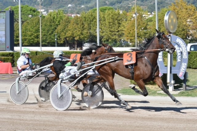CORSA1 PREMIO DRAGO DALFA 1