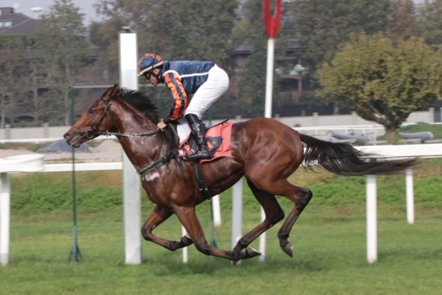 All'ippodromo SNAI San Siro mercoledì la spunta Parisiamo 7 CORSA1 PREMIO ECLIPSE 2003