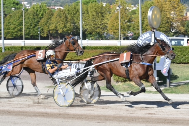 CORSA2 PREMIO COGNAC DALFA 1