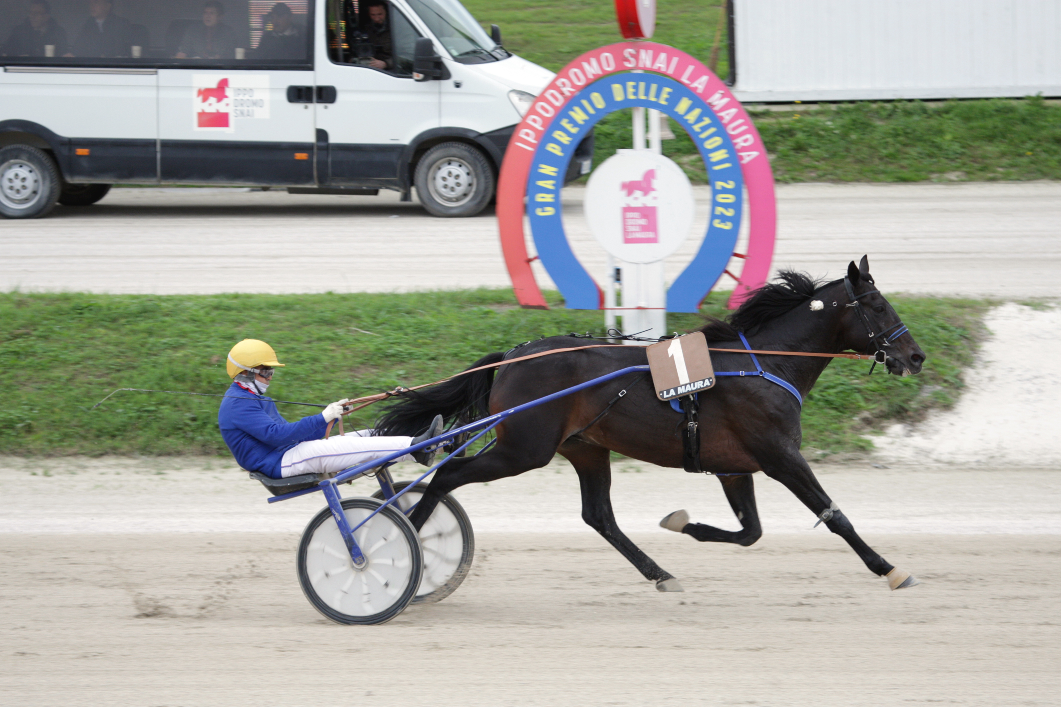 Vivid Wise As, un fuoriclasse: ancora suo il Gran Premio delle Nazioni 5 CORSA2 PREMIO DADDY DI JESOLO