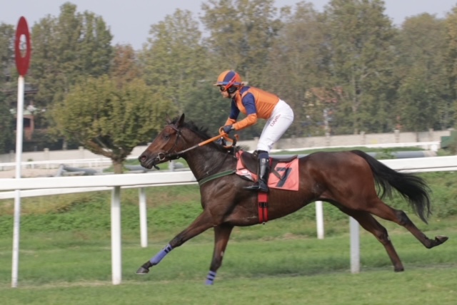 All’Ippodromo SNAI San Siro brilla Calm Reef nel Premio Dormelletto 5 CORSA2 PREMIO LUCIO E LUDOVICA ALBERTONI