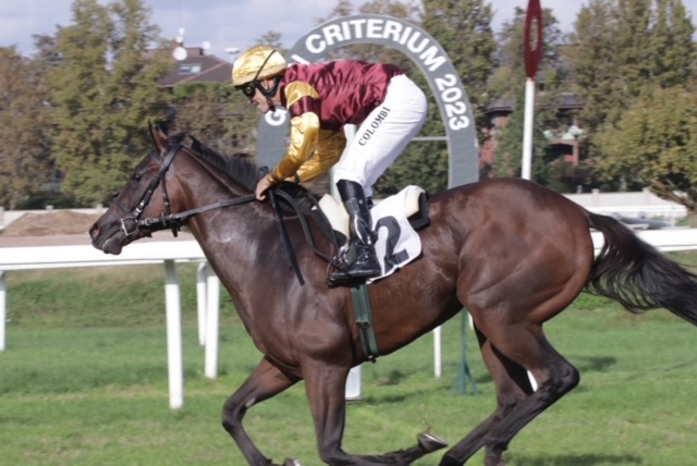 San Siro: il Gran Criterium a Wintertraum e il Dormello a Folgaria 5 CORSA3 PREMIO DORMELLO Arrivo