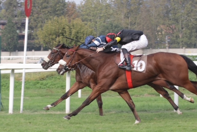 All’Ippodromo SNAI San Siro brilla Calm Reef nel Premio Dormelletto 3 CORSA3 PREMIO VIGATA