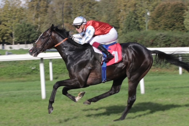 San Siro: il Gran Criterium a Wintertraum e il Dormello a Folgaria 6 CORSA4 PREMIO CAMPOBELLO