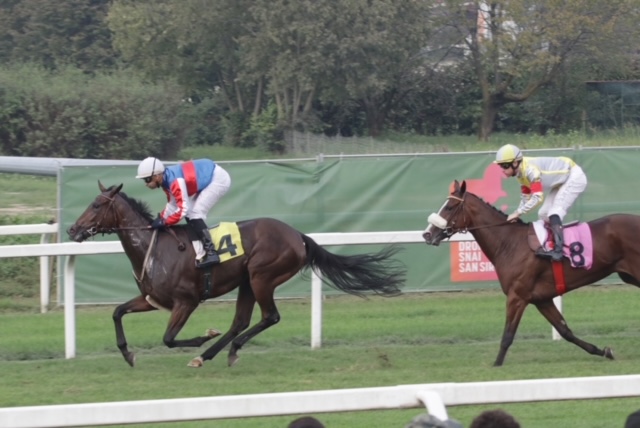 All’Ippodromo SNAI San Siro brilla Calm Reef nel Premio Dormelletto 4 CORSA4 PREMIO EXIBIHIT ONE