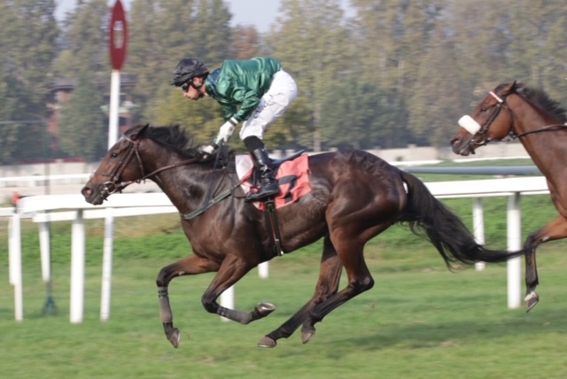 All'ippodromo SNAI San Siro mercoledì la spunta Parisiamo 4 CORSA4 PREMIO JAPAN CUP 2002