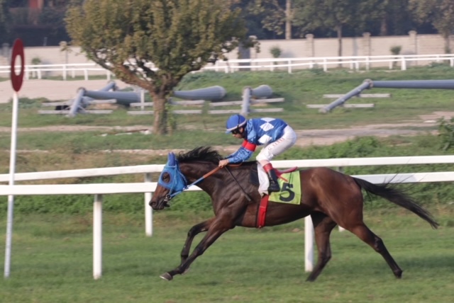All'ippodromo SNAI San Siro mercoledì la spunta Parisiamo 2 CORSA5 PREMIO HONG KONG CUP 2003
