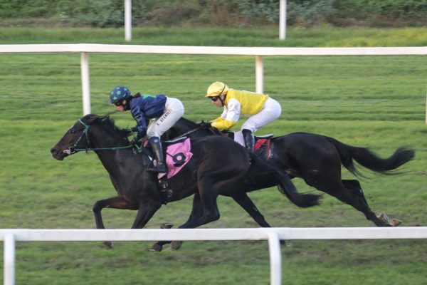 All'ippodromo Snai San Siro i Gran sabato di galoppo ha visto Rainmaker vincere il Premio Carlo Porta 7 Premio Castello Sforzesco, arrivo: Sara Spampatti, prima, su Blu Note e Luca Maniezzi a seguire su Kadegliano