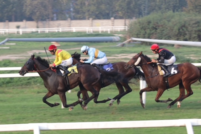 All'ippodromo SNAI San Siro mercoledì la spunta Parisiamo 3 CORSA6 PREMIO CARRIERA DI FALBRAV