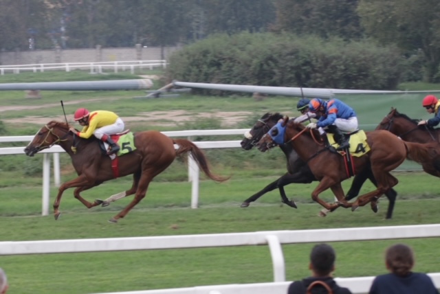 All’Ippodromo SNAI San Siro brilla Calm Reef nel Premio Dormelletto 2 CORSA6 PREMIO COTTOMOUTH