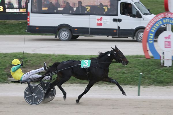 Matthieu Abrivard e Vivid Wise As all'arrivo del Gran Premio delle Nazioni