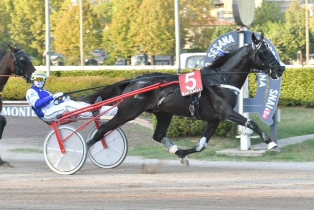 CORSA7 PREMIO FLORIO STIFT 1