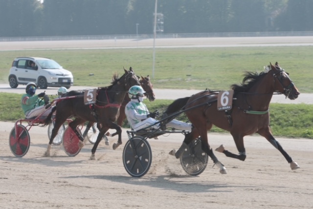 Il trotto all'Ippodromo SNAI La Maura di Milano 3 Corse Trotto La Maura Milano Foto Dena Snaitech