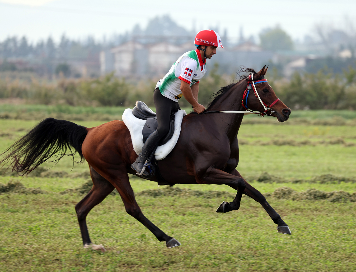 Nicolo’ Tallone con Milordka de Helios