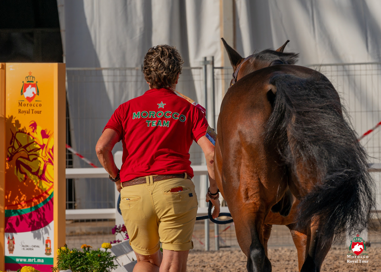 Inizia l'ultima tappa del Morocco Royal Tour 2023 a El Jadida 1 Vet check in El Jadida R&B Presse Adèle Renauldon