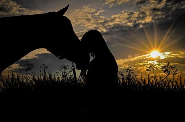 Abbraccio tra cavallo e ragazza controluce al tramonto