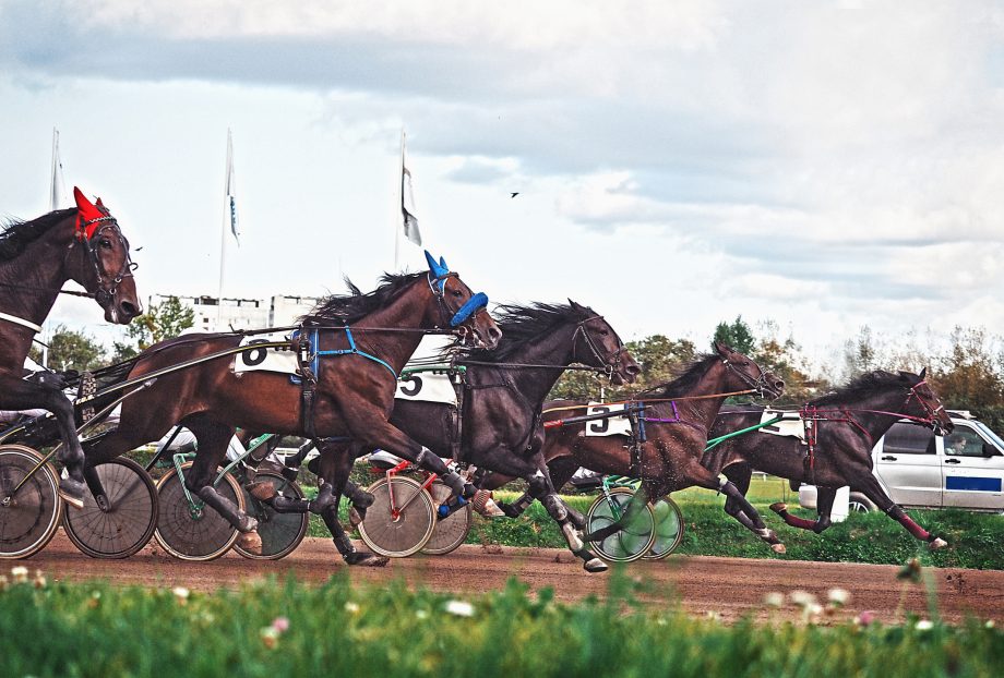 Il ruolo del cavallo nello sport: un viaggio attraverso i secoli 3 Corso trotto ippica