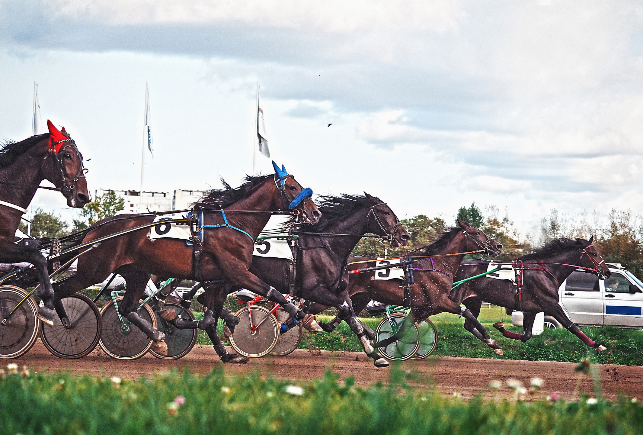 Sabato svedese per gli italiani in trasferta a Solvalla 1 Corso trotto ippica