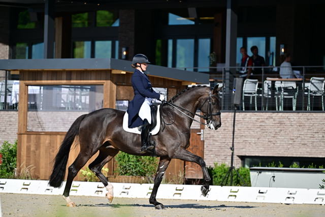 Intervista a Diana Porsche: l’armonica e silenziosa comunicazione tra cavaliere e cavallo 1 Diana Porsche during a dressage competition