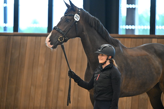 Intervista a Diana Porsche: l’armonica e silenziosa comunicazione tra cavaliere e cavallo 2 image4 1