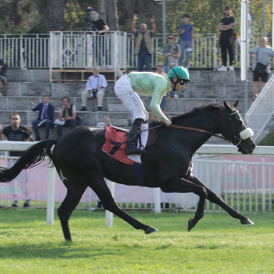 Domenica di galoppo all’Ippodromo SNAI San Siro 3 img 7696 1