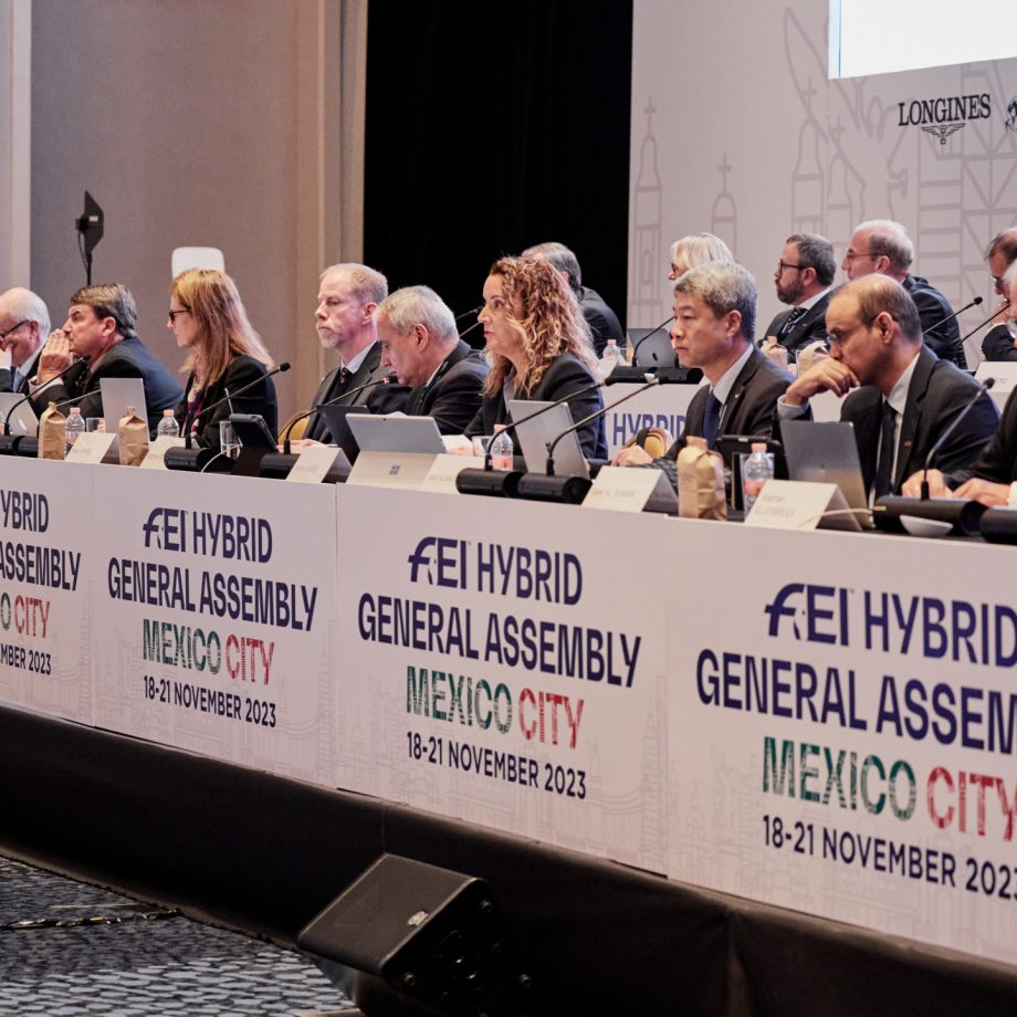 Il riepilogo dell’Assemblea Generale FEI e le novità per i Paesi Europei 3 53348494614 322fb92a65 o
