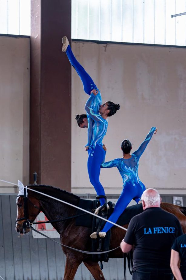 Anna Cavallaro e l'ASD La Fenice: sulle ali del Volteggio 6 7904dbcd 8c94 4005 be4f acac81929cbc