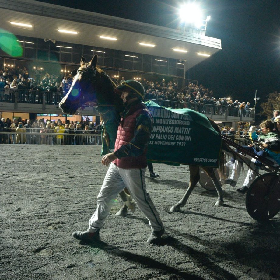 Il XXXV Palio dei Comuni a Montegiorgio: Akela Pal Ferm trionfa 4 AKELA PAL FERM VINCITROICE DEL PALIO CON IN SULKY ANTONIO DI NARDO