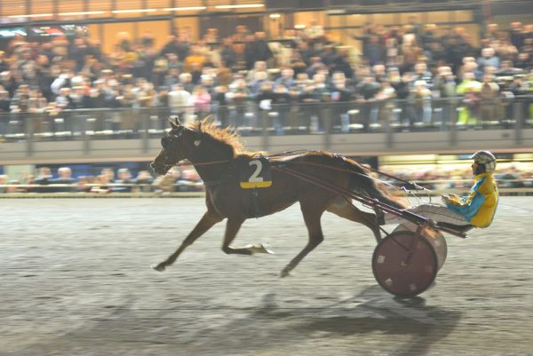 AKELA PALM FERM E ANTONIO DI NARDO VITTORIA AL PALIO