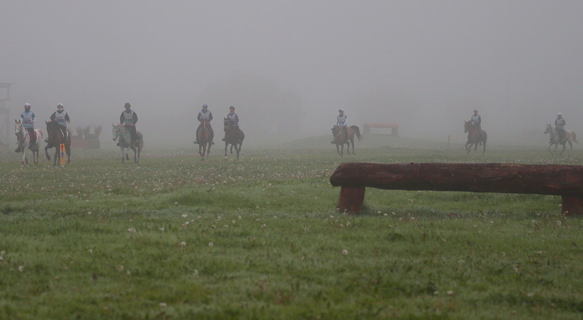 Arrivo nella nebbia