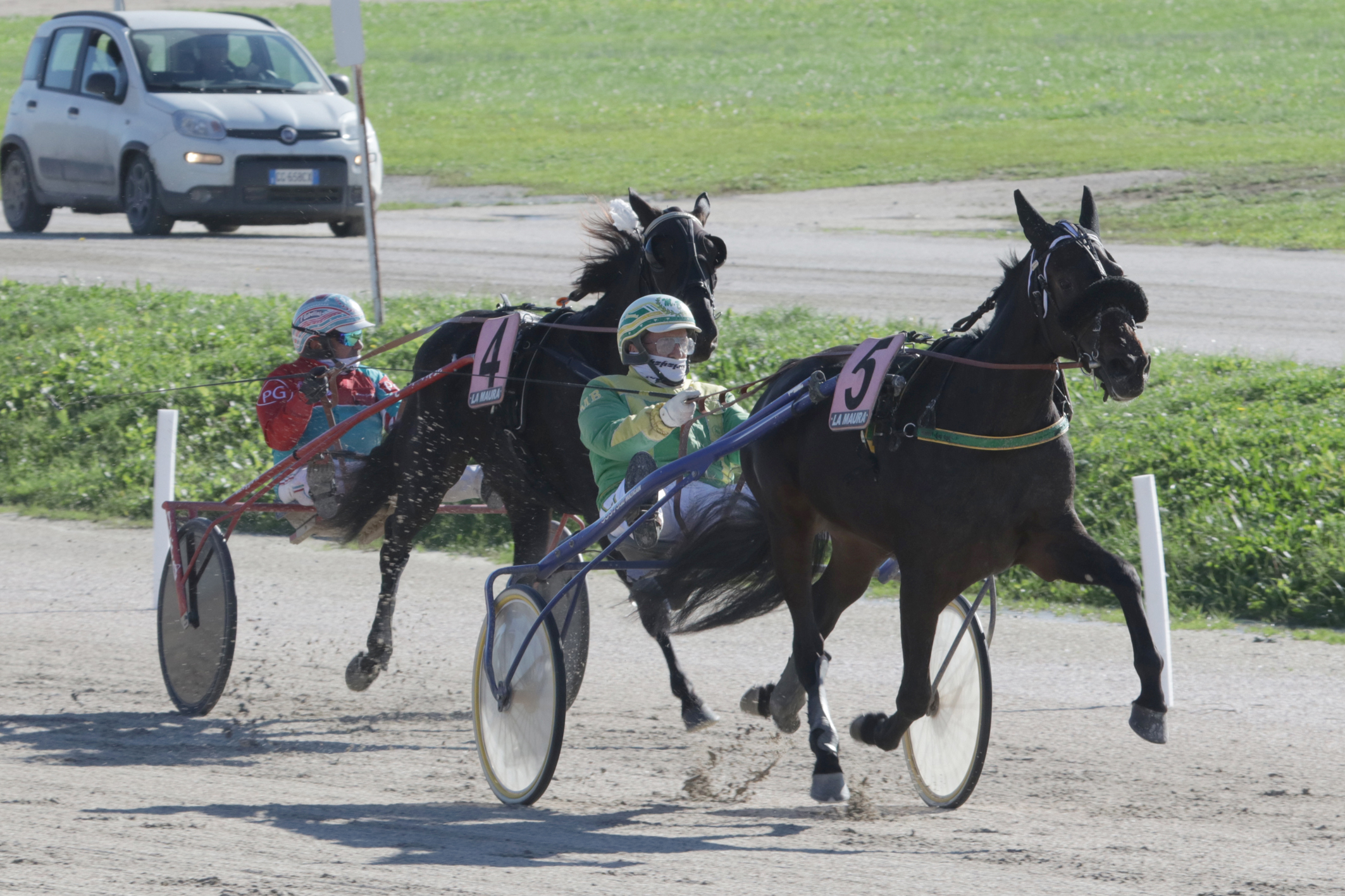 Il Trofeo Luigi Canzi all'ippodromo Snai La Maura va a Don Saxo 4 CORSA1 PREMIO DEIPERA