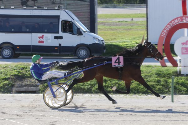 Premio Snai Ippodromo La Maura novembre 2023