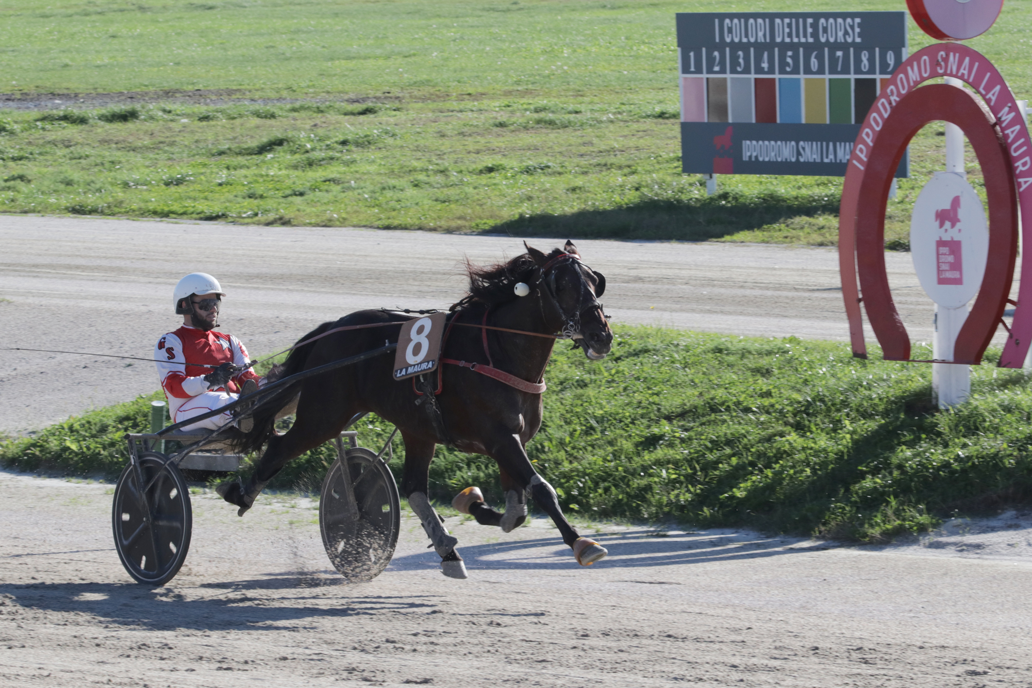 Il Trofeo Luigi Canzi all'ippodromo Snai La Maura va a Don Saxo 3 CORSA2 PREMIO CAMPANILE TROFEO LUIGI CANZI 1a PROVA 1